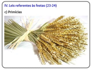 IV. Leis referentes às festas (23-24)
c) Primícias
 