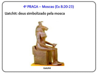 4ª PRAGA – Moscas (Ex 8:20-23)
Uatchit: deus simbolizado pela mosca
Uatchit
 