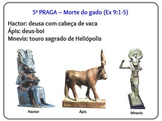 5ª PRAGA – Morte do gado (Ex 9:1-5)
Hactor: deusa com cabeça de vaca
Ápis: deus-boi
Mnevis: touro sagrado de Heliópolis
Hactor Ápis Mnevis
 