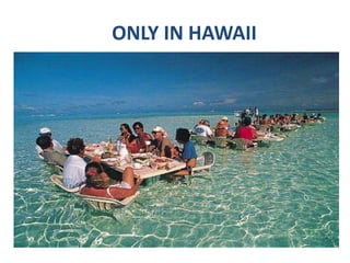 ONLY IN HAWAII 