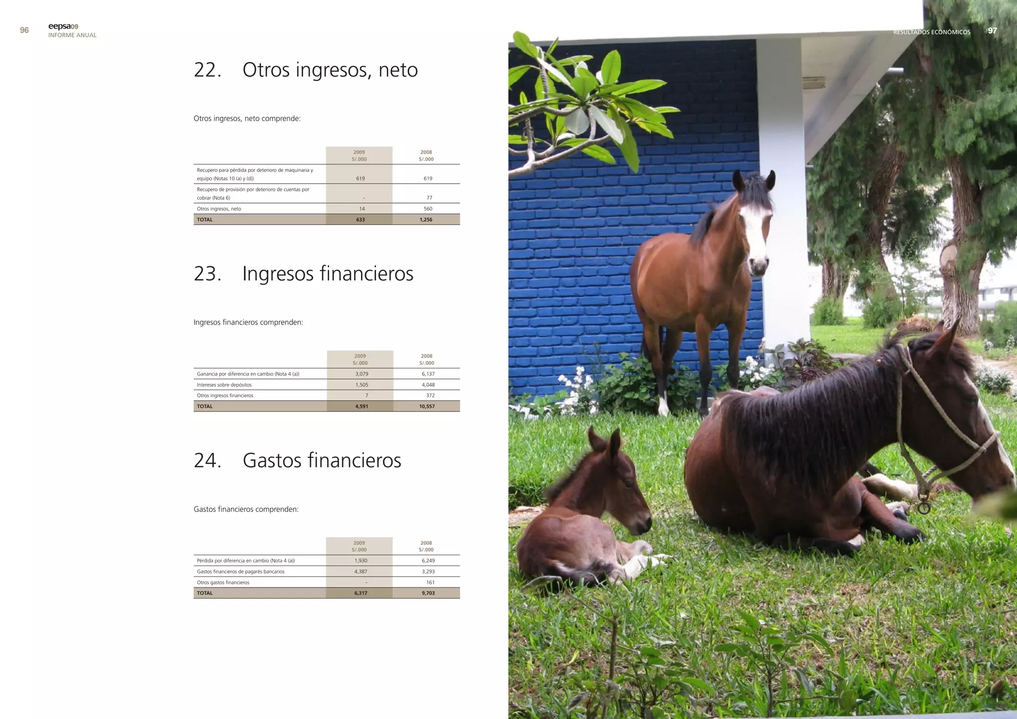 9   eepsa09
     INFORME ANUAL                                                                              RESULTADOS ECONÓMICOS   9




                     22. Otros ingresos, neto

                     Otros ingresos, neto comprende:



                                                                            2009        2008
                                                                           s/.000      s/.000

                     Recupero para pérdida por deterioro de maquinaria y
                     equipo (Notas 10 (a) y (d))                            619          619

                     Recupero de provisión por deterioro de cuentas por
                     cobrar (Nota 6)                                           -          77

                     Otros ingresos, neto                                    14          560

                     total                                                  633        1,256




                     23. Ingresos financieros

                     Ingresos financieros comprenden:



                                                                            2009        2008
                                                                           s/.000      s/.000

                     Ganancia por diferencia en cambio (Nota 4 (a))         3,079       6,137

                     Intereses sobre depósitos                              1,505       4,048

                     Otros ingresos financieros                                    7      372

                     total                                                  4,591      10,557




                     24. Gastos financieros

                     Gastos financieros comprenden:



                                                                            2009        2008
                                                                           s/.000      s/.000

                     Pérdida por diferencia en cambio (Nota 4 (a))          1,930       6,249

                     Gastos financieros de pagarés bancarios                4,387       3,293

                     Otros gastos financieros                                      -      161

                     total                                                  6,317       9,703
 