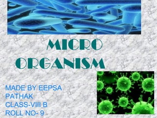 MICRO
ORGANISM
MADE BY EEPSA
PATHAK
CLASS-VIII B
ROLL NO- 9
 