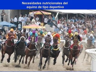 Necesidades nutricionales delNecesidades nutricionales del
equino de tipo deportivoequino de tipo deportivo
 