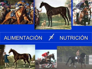 ALIMENTACIÓNALIMENTACIÓN == NUTRICIÓNNUTRICIÓN
 