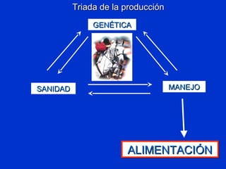 GENÉTICAGENÉTICA
SANIDADSANIDAD MANEJOMANEJO
ALIMENTACIÓNALIMENTACIÓNALIMENTACIÓNALIMENTACIÓN
Triada de la producciónTriada de la producción
 