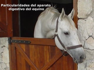 Particularidades del aparatoParticularidades del aparato
digestivo del equinodigestivo del equino
 