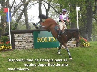 Disponibilidad de Energía para elDisponibilidad de Energía para el
equino deportivo de altoequino deportivo de alto
rendimientorendimiento
 