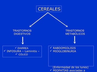 CEREALESCEREALES
TRASTORNOSTRASTORNOS
DIGESTIVOSDIGESTIVOS
TRASTORNOSTRASTORNOS
METABÓLICOSMETABÓLICOS
 DIARREADIARREA
 INFOSURA – Laminitis –INFOSURA – Laminitis –
 CÓLICOCÓLICO
 RABDOMIOLISISRABDOMIOLISIS
 MIOGLOBINURIAMIOGLOBINURIA
(Enfermedad de los lunes)(Enfermedad de los lunes)
 MIOPATÍAS asociadas aMIOPATÍAS asociadas a
 