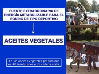 FUENTE EXTRAORDINARIA DEFUENTE EXTRAORDINARIA DE
ENERGÍA METABOLIZABLE PARA ELENERGÍA METABOLIZABLE PARA EL
EQUINO DE TIPO DEPORTIVOEQUINO DE TIPO DEPORTIVO
ACEITES VEGETALESACEITES VEGETALES
En los aceites vegetales predominanEn los aceites vegetales predominan
los AG insaturados o de cadena corta.los AG insaturados o de cadena corta.
 