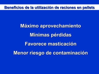 Beneficios de la utilización de raciones en pelletsBeneficios de la utilización de raciones en pellets
Máximo aprovechamientoMáximo aprovechamiento
Mínimas pérdidasMínimas pérdidas
Favorece masticaciónFavorece masticación
Menor riesgo de contaminaciónMenor riesgo de contaminación
 