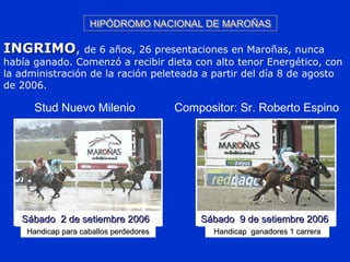 HIPÓDROMO NACIONAL DE MAROÑASHIPÓDROMO NACIONAL DE MAROÑASHIPÓDROMO NACIONAL DE MAROÑASHIPÓDROMO NACIONAL DE MAROÑAS
INGRIMOINGRIMO, de 6 años, 26 presentaciones en Maroñas, nunca
había ganado. Comenzó a recibir dieta con alto tenor Energético, con
la administración de la ración peleteada a partir del día 8 de agosto
de 2006.
Stud Nuevo Milenio Compositor: Sr. Roberto Espino
Sábado 9 de setiembre 2006Sábado 9 de setiembre 2006Sábado 9 de setiembre 2006Sábado 9 de setiembre 2006
Handicap para caballos perdedoresHandicap para caballos perdedores Handicap ganadores 1 carreraHandicap ganadores 1 carrera
Sábado 2 de setiembre 2006Sábado 2 de setiembre 2006Sábado 2 de setiembre 2006Sábado 2 de setiembre 2006
 