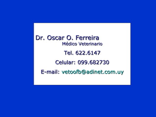 Dr. Oscar O. FerreiraDr. Oscar O. Ferreira
Médico VeterinarioMédico Veterinario
Tel. 622.6147Tel. 622.6147
Celular: 099.682730Celular: 099.682730
E-mail:E-mail: vetoofb@adinet.com.uyvetoofb@adinet.com.uy
 
