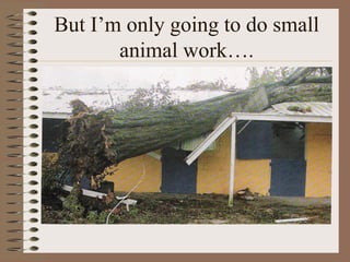 But I‘m only going to do small
       animal work….
 
