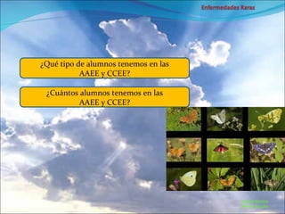 Marcial Medina Médico Escolar ¿Qué tipo de alumnos tenemos en las AAEE y CCEE? ¿Cuántos alumnos tenemos en las AAEE y CCEE? 