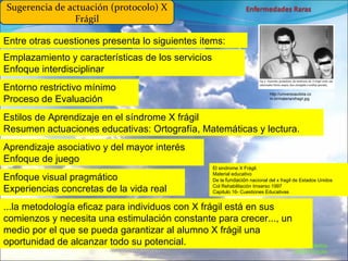 Marcial Medina Médico Escolar Sugerencia de actuación (protocolo) X Frágil Entre otras cuestiones presenta lo siguientes items: Emplazamiento y características de los servicios Enfoque interdisciplinar Entorno restrictivo mínimo Proceso de Evaluación Estilos de Aprendizaje en el síndrome X frágil Resumen actuaciones educativas: Ortografía, Matemáticas y lectura. Aprendizaje asociativo y del mayor interés Enfoque de juego Enfoque visual pragmático Experiencias concretas de la vida real ...la metodología eficaz para individuos con X frágil está en sus comienzos y necesita una estimulación constante para crecer..., un medio por el que se pueda garantizar al alumno X frágil una oportunidad de alcanzar todo su potencial. El sindrome X Frágil.  Material educativo De la  fundación  nacional del x fragil de Estados Unidos Col Rehabilitación Imserso 1997 Capitulo 16- Cuestiones Educativas http://universoautista.com.br/materia/xfragil.jpg 