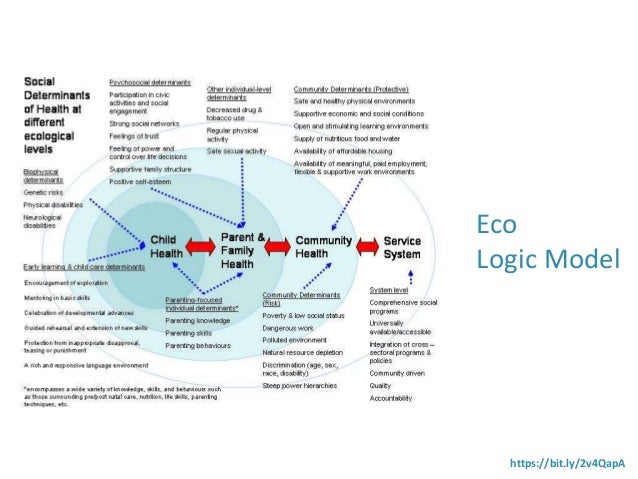 free spectroscopic and mechanistic studies of dinuclear