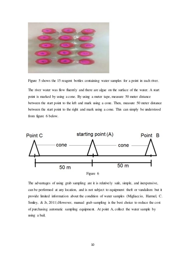 extended essay help biology