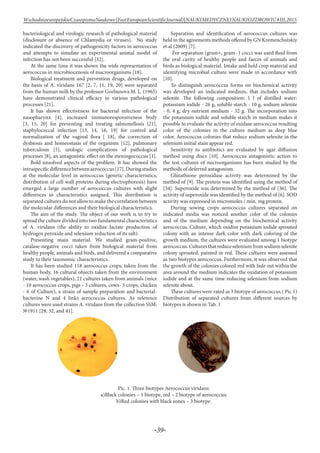 -39-
WschodnioeuropejskieCzasopismoNaukowe(EastEuropeanScientificJournal)|NAUKIMEDYCZNEINAUKIOZDROWIU#IІІ,2015
bacteriological and virologic research of pathological material
(disclosure or absence of Chlamydia or viruses). No study
indicated the discovery of pathogenicity factors in aerococcus
and attempts to simulate an experimental animal model of
infection has not been successful [32].
At the same time it was shown the wide representation of
aerococcus in microbiocenosis of macroorganisms [18].
Biological treatment and prevention drugs, developed on
the basis of A. viridans 167 [2, 7, 11, 19, 20] were separated
from the human milk by the professor Gorbunova M. L. (1965)
have demonstrated clinical efficacy in various pathological
processes [21].
It has shown effectiveness for bacterial infection of the
nasopharynx [4], increased immunoresponsiveness body
[3, 15, 20] for preventing and treating salmonellosis [21],
staphylococcal infection [13, 14, 16, 19] for control and
normalization of the vaginal flora [ 18], the correction of
dysbiosis and homeostasis of the organism [12], pulmonary
tuberculosis [5], urologic complications of pathological
processes [8], an antagonistic effect on the meningococcus [1].
Bold unsolved aspects of the problem. It has showed the
intraspecificdifferencebetweenaerococcus[17].Duringstudies
at the molecular level in aerococcus (genetic characteristics,
distribution of cell wall proteins during electrophoresis) have
emerged a large number of aerococcus cultures with slight
differences in characteristics assigned. This distribution is
separated cultures do not allow to make the correlation between
the molecular differences and their biological characteristics.
The aim of the study. The object of our work is to try to
spread the culture divided into two fundamental characteristics
of A. viridans (the ability to oxidize lactate production of
hydrogen peroxide and selenium reduction of its salt).
Presenting main material. We studied gram-positive,
catalase-negative cocci taken from biological material from
healthy people, animals and birds, and delivered a comparative
study to their taxonomic characteristics.
It has been studied 118 aerococcus crops; taken from the
human body, 16 cultural objects taken from the environment
(water, wash vegetables), 21 cultures taken from animals (mice
- 10 aerococcus crops, pigs - 3 cultures, cows- 5 crops, chicken
- 6 of Culture), a strain of sample preparation and bacterial-
bacterine N and 4 links aerococcus cultures. As reference
cultures were used strains A. viridans from the collection SSM:
№1911 [28, 32, and 41].
Separation and identification of aerococcus cultures was
held in the agreements methods offered by GN Kremenchutskiy
et al (2009) [7].
For separation (gram+, gram- ) cocci was used fluid from
the oral cavity of healthy people and faeces of animals and
birds as biological material. Intake and held crop material and
identifying microbial culture were made in accordance with
[10].
To distinguish aerococcus forms on biochemical activity
was developed an indicated medium, that includes sodium
selenite. The following composition: 1 l of distilled water:
potassium iodide - 26 g, soluble starch - 10 g, sodium selenite
- 0, 4 g, dry nutrient medium - 32 g. The incorporation into
the potassium iodide and soluble starch in medium makes it
possible to evaluate the activity of oxidase aerococcus resulting
color of the colonies in the culture medium as deep blue
color. Aerococcus colonies that reduce sodium selenite in the
selenium initial stain appear red.
Sensitivity to antibiotics are evaluated by agar diffusion
method using discs [10]. Aerococcus antagonistic action to
the test cultures of microorganisms has been studied by the
methods of deferred antagonism.
Glutathione peroxidase activity was determined by the
method of [9]. The protein was identified using the method of
[34]. Superoxide was determined by the method of [36]. The
activity of superoxide was identified by the method of [6]. SOD
activity was expressed in micromoles / min. mg protein.
During sowing crops aerococcus cultures separated on
indicated media was noticed another color of the colonies
and of the medium depending on the biochemical activity
aerococcus. Culture, which oxidize potassium iodide sprouted
colony with an intense dark color with dark coloring of the
growth medium, the cultures were evaluated among 1 biotype
aerococcus.Culturesthatreduceseleniumfromsodiumselenite
colony sprouted, painted in red. These cultures were assessed
as two biotypes aerococcus. Furthermore, it was observed that
the growth of the colonies colored red with fade out within the
area around the medium indicates the oxidation of potassium
iodide and at the same time reducing selenium from sodium
selenite about.
These cultures were rated as 3 biotype of aerococcus.( Pic.1)
Distribution of separated cultures from different sources by
biotypes is shown in Tab. 1
Pic. 1. Three biotypes Aerococcus viridans:
a)Black colonies – 1 biotype, red – 2 biotype of aerococcus;
b)Red colonies with black zones – 3 biotype.
 