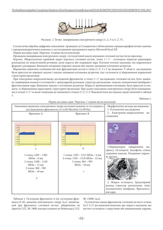 -51-
WschodnioeuropejskieCzasopismoNaukowe(EastEuropeanScientificJournal)|NAUKIMEDYCZNEINAUKIOZDROWIU#IІІ,2015
Рисунок 2. Точки вимірювання електричного опору (1, 2, 3 та 1’, 2’, 3’).
Статистична обробка цифрових показників проведена за Стьюдентом з обчисленням середньоарифметичних значень
і середньоквадратичних помилок із застосуванням програмного пакету Microsoft Excel XP.
Перша дослідна серія. Перелом. 1година після коагуляції.
Проведено вимірювання електричного опору і гістологічний аналіз відламків стегнової кістки після перелому.
Кортекс. Мікроскопічно крайовой відділ кортекса стегнової кістки, точка 1 і 1’ - остеоцити відносно рівномірно
розподілені по міжклітинній речовині, мали округлі або подовжені ядра. Клітини оточені лакунами, які відрізнялися
формою і розмірами. Виявлено поодинокі порожні лакуни або лакуни заповнені клітинним детритом.
Виражених відмітних особливостей між фрагментами кістки в точці 2 і 2’, 3 і 3’ не виявлено. У області дослідження
були присутні як порожні лакуни і лакуни заповнені клітинним детритом, так і остеоцити зі збереженням нормальної
структурної організації.
При електронно-мікроскопічному дослідженні фрагментів, в точці 1 і 1’ дослідження стегнової кістки, було знайде-
но підвищення кількості остеоцитів з гранулярним розпадом структур цитоплазми, лізисом плазматичної мембрани і
фрагментацією ядра. Виявлено лакуни з клітинним детритом. Поряд із зруйнованими клітинами, були присутні остео-
цити, зі збереженням характерної структурної організації. При цьому показники електричного опору були підвищени-
ми в точках 1 і 1’ та мали тенденцію до зниження в точках 2 і 2’, 3 і 3’. Взаємозв’язок досліджень представлений в таблиці
1.
Таблиця 1.
Перша дослідна серія. Перелом. 1 година після коагуляції.
Показники діапазону електричного опору кісткової тканини та гістограми в
досліджуваних фрагментах (А та В) МегаОм (1х106
Ом)
Морфологічні методи дослідження:
1. Гістологічне дослідження
2. Електронно-мікроскопічне до-
слідження
Фрагмент А Фрагмент В
а
1 точка. 1285 – 1305
МОм – 6 мм
2 точка. 1100 – 1120
МОм – 12 мм
3 точка. 960 – 985
МОм – 18 мм
в
б
1 точка. 1295 – 1315 МОм – 6 мм
2 точка. 1105 – 1110 МОм – 12 мм
3 точка. 965 – 995
МОм – 18 мм
г
1.Нерівномірне забарвлення ма-
триксу. Остеоцити. Базофілія стінок
судинних каналів. Поодинокі порож-
ні лакуни.
2. Некроз остеоцита. Гранулярний
розпад структур цитоплазми, лізис
плазматичної мембрани. Фрагмента-
ція ядра.
Таблиця 1. Гістограма фрагмента А (а), гістограма фраг-
мента Б (б), діапазон електричного опору (в,г), напівтон-
кий зріз фрагмента стегнової кістки, забарвлення по
Apariсio [12]. Зб. 1000, контрастування по Рейнольдсу [13].
Зб. 15600. (д,е).
Гістологічна оцінка фрагментів стегнової кістки в точках
2и 2’, 3 і 3’ дослідження показала, що, поряд з лакунами, що
містять остеоцити з округлими або видовженими ядрами,
 