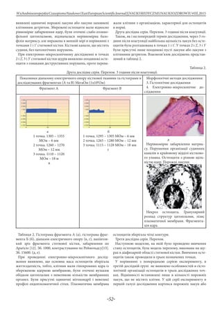 -52-
WschodnioeuropejskieCzasopismoNaukowe(EastEuropeanScientificJournal)|NAUKIMEDYCZNEINAUKIOZDROWIU#IІІ,2015
виявлені одиничні порожні лакуни або лакуни заповнені
клітинним детритом. Збережені остеоцити мали відносно
рівномірне забарвлення ядер, були оточені слабо еозино-
фільної цитоплазмою, відзначалася нерівномірна базо-
філія матриксу, але виражена в меншій мірі в порівнянні з
точками 1 і 1’ стегнової кістки. Кісткові канали, що містять
судини, без патологічних порушень.
При електронно-мікроскопічному дослідженні в точках
2 і 2’, 3 і 3’ стегнової кістки щурів виявлено поодинокі осте-
оцити з ознаками деструктивних порушень, проте перева-
жали клітини з організацією, характерної для остеоцитів
в нормі.
Друга дослідна серія. Перелом. 3 години після коагуляції.
Також, як і на попередній термін дослідження, через 3 го-
дини після коагуляції найбільша щільність лакун без осте-
оцитів була розташована в точках 1 і 1’. У точках 2 і 2’, 3 і 3’
були присутні лише поодинокі пусті лакуни або лакуни з
клітинним детритом. Взаємозв’язок досліджень представ-
лений в таблиці 2.
Таблица 2.
Друга дослідна серія. Перелом. 3 години після коагуляції.
Показники діапазону електричного опору кісткової тканини та гістограми в
досліджуваних фрагментах (А та В) МегаОм (1х106
Ом)
Морфологічні методи дослідження:
3. Гістологічне дослідження
4. Електронно-мікроскопічне до-
слідження
Фрагмент А Фрагмент В
а
1 точка. 1305 – 1355
МОм – 6 мм
2 точка. 1260 – 1270
МОм – 12 мм
3 точка. 1110 – 1120
МОм – 18 м
в
б
1 точка. 1295 – 1305 МОм – 6 мм
2 точка. 1265 – 1280 МОм – 12 мм
3 точка. 1115 – 1128 МОм – 18 мм
г
д
Нерівномірне забарвлення матрик-
су. Порушення організації судинних
каналів в крайовому відділі кістково-
го уламка. Остеоцити з різною щіль-
ністю ядер. Порожні лакуни.
Некроз остеоцита. Гранулярний
розпад структур цитоплазми, лізис
плазматичної мембрани. Фрагмента-
ція ядра.
Таблиця 2. Гістограма фрагмента А (а), гістограма фраг-
мента Б (б), діапазон електричного опору (в, г), напівтон-
кий зріз фрагмента стегнової кістки, забарвлення по
Apariсio [12]. Зб. 1000, контрастування по Рейнольдсу[13].
Зб. 15600. (д, е).
При проведенні електронно-мікроскопічного дослід-
ження виявлено, що основна маса остеоцитів зберігала
життєздатність, тобто, клітини мали гіпохромних ядра із
збереженою ядерною мембраною, були оточені вузьким
обідком цитоплазми з невеликою кількістю мембранних
органел. Були присутні одиничні мітохондрії і невеликі
профілі ендоплазматичної сітки. Плазматична мембрана
остеоцитів зберігала чіткі контури.
Третя дослідна серія. Перелом.
Наступною моделлю, на якій було проведено вивчення
стану остеоцитів, була модель перелому, виконана на щу-
рах в діафизарній області стегнової кістки. Вивчення осте-
оцитів також проводили в трьох позначених точках.
У порівнянні з попередньою серією експерименту, в
третій дослідній групі не виявлено особливостей в гісто-
логічній організації остеоцитів в трьох досліджених точ-
ках. Відмінності встановлені лише в кількості порожніх
лакун, що не містять клітин. У цій серії експерименту в
першій галузі дослідження кортекса порожніх лакун або
 