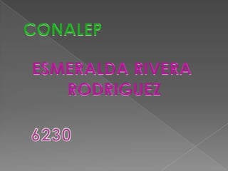 CONALEP ESMERALDA RIVERA  RODRIGUEZ 6230 