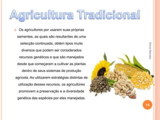  Os agricultores por usarem suas próprias
sementes, as quais são resultantes de uma
selecção continuada, obtém tipos muito
diversos que podem ser considerados
recursos genéticos e que são manejados
desde que começaram a cultivar as plantas
dentro de seus sistemas de produção
agrícola. Ao utilizarem estratégias distintas de
utilização desses recursos, os agricultores
promovem a preservação e a diversidade
genética das espécies por eles manejadas.
19
SóniaMendes
 