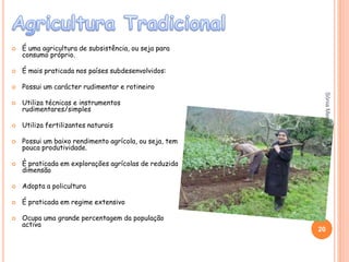  É uma agricultura de subsistência, ou seja para
consumo próprio.
 É mais praticada nos países subdesenvolvidos:
 Possui um carácter rudimentar e rotineiro
 Utiliza técnicas e instrumentos
rudimentares/simples
 Utiliza fertilizantes naturais
 Possui um baixo rendimento agrícola, ou seja, tem
pouca produtividade.
 È praticada em explorações agrícolas de reduzida
dimensão
 Adopta a policultura
 É praticada em regime extensivo
 Ocupa uma grande percentagem da população
activa
20
SóniaMendes
 