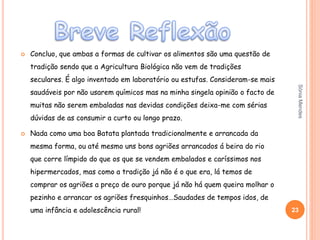  Concluo, que ambas a formas de cultivar os alimentos são uma questão de
tradição sendo que a Agricultura Biológica não vem de tradições
seculares. É algo inventado em laboratório ou estufas. Consideram-se mais
saudáveis por não usarem químicos mas na minha singela opinião o facto de
muitas não serem embaladas nas devidas condições deixa-me com sérias
dúvidas de as consumir a curto ou longo prazo.
 Nada como uma boa Batata plantada tradicionalmente e arrancada da
mesma forma, ou até mesmo uns bons agriões arrancados á beira do rio
que corre límpido do que os que se vendem embalados e caríssimos nos
hipermercados, mas como a tradição já não é o que era, lá temos de
comprar os agriões a preço de ouro porque já não há quem queira molhar o
pezinho e arrancar os agriões fresquinhos…Saudades de tempos idos, de
uma infância e adolescência rural! 23
SóniaMendes
 