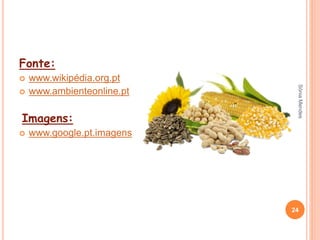 Fonte:
 www.wikipédia.org.pt
 www.ambienteonline.pt
Imagens:
 www.google.pt.imagens
24
SóniaMendes
 