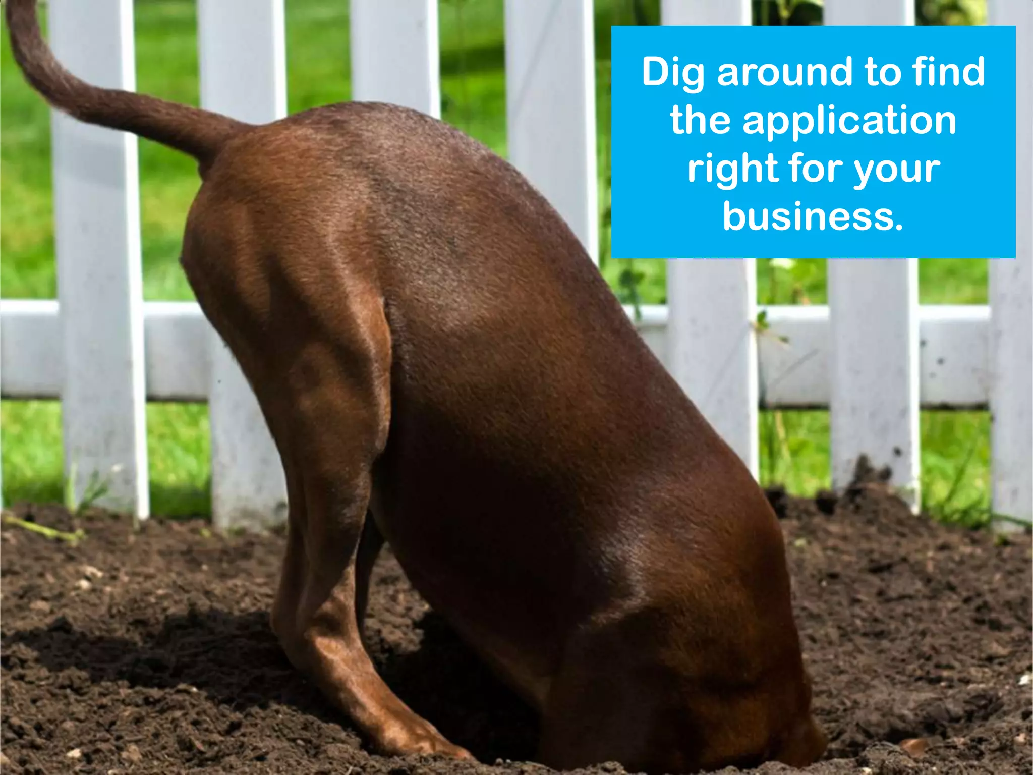 Dig around to find
 the application
  right for your
    business.
 