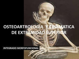 INTEGRADO MORFOFUNCIONAL
OSTEOARTROLOGIA Y CINEMATICA
DE EXTREMIDAD SUPERIOR
 