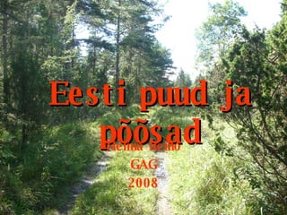 Eesti puud ja põõsad Helina Reino GAG 2008 