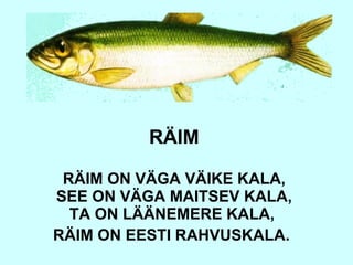 RÄIM RÄIM ON VÄGA VÄIKE KALA,  SEE ON VÄGA MAITSEV KALA,  TA ON LÄÄNEMERE KALA,  RÄIM ON EESTI RAHVUSKALA.   