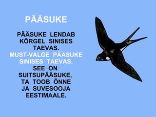 PÄÄSUKE PÄÄSUKE  LENDAB KÕRGEL  SINISES TAEVAS. MUST-VALGE  PÄÄSUKE SINISES  TAEVAS. SEE  ON  SUITSUPÄÄSUKE,  TA  TOOB  ÕNNE JA  SUVESOOJA EESTIMAALE. 