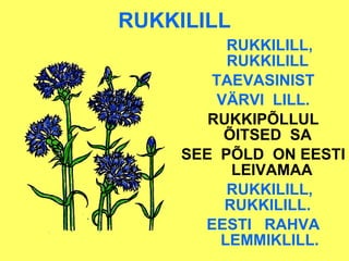 RUKKILILL RUKKILILL, RUKKILILL   TAEVASINIST VÄRVI  LILL.  RUKKIPÕLLUL ÕITSED  SA  SEE  PÕLD  ON EESTI  LEIVAMAA RUKKILILL, RUKKILILL.  EESTI  RAHVA LEMMIKLILL. 