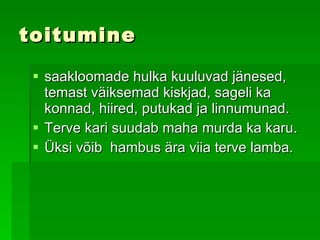 toitumine saakloomade hulka kuuluvad jänesed, temast väiksemad kiskjad, sageli ka konnad, hiired, putukad ja linnumunad.  Terve  kari suudab maha murda ka karu.   Üksi  võib  hambus ära viia terve lamba. 