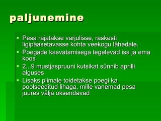 paljunemine Pesa rajatakse varjulisse, raskest i  ligipääsetavasse kohta veekogu lähedale.  Poegade kasvatamisega tegelevad isa ja ema koos   2...9 mustjaspruuni kutsikat sünnib aprilli alguses   Lisaks piimale toidetakse poegi ka poolseeditud lihaga, mille vanemad pesa juures välja oksendavad   