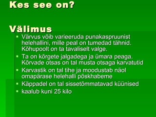 Kes see on? Välimus Värvus võib varieeruda punakaspruunist helehallini, mille peal on tumedad tähnid. Kõhupoolt on  ta  tavaliselt valge. Ta  on kõrgete jalgadega ja ümara peaga. Kõrvade otsas on tal musta otsaga karvatutid   Karvastik on tal tihe ja moodustab näol omapärase helehalli põskhabeme   Käppadel on tal sissetõmmatavad küünised kaalub kuni 25 kilo   