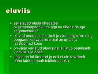 eluviis eelistavad elada tihedates okasmetsapadrikutes aga ka tiheda risuga segametsade s elavad enamasti üksikult ja ainult sigimise ning poegade kasvatamise ajal on emas ja isasloomad koos   on väga varjatud eluviisiga ja liigub peamiselt videvikus ja öösel   Jäljed  on tal ümarad ja neil ei ole tavaliselt näha küünte poolt tekitatud auke. 