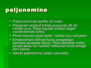 paljunemine Pojad sünnivad aprillis või mais   Poegivad varjatud kohas puujuurte all või mõnes urus. Pesa kujutab endast sageli vooderdamata lohku   Piima imevad pojad kahe - kolme kuu vanuseni   Emasloomad viibivad koos poegadega esimese eluaasta lõpuni. Pesa jäetakse maha pärast seda, kui noored hakkavad koos emaga jahil käima.   elavad paarikümne aasta vanuseks. 