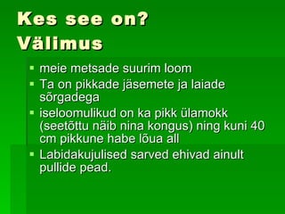 Kes see on? Välimus meie metsade suurim loom   Ta on pikkade jäsemete ja laiade sõrgadega   iseloomulikud on ka pikk ülamokk (seetõttu näib nina kongus) ning kuni 40 cm pikkune habe lõua all   Labidakujulised sarved ehivad ainult pullide pead.  