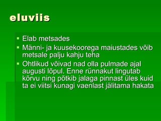 eluviis Elab  metsades  Männi- ja kuusekoorega maiustades võib metsale palju kahju teha   Ohtlikud võivad  nad  olla pulmade ajal augusti lõpul . E nne rünnakut lingutab kõrvu ning põtkib jalaga pinnast üles  kuid ta  ei viitsi  kunagi  vaenlast jälitama hakata 