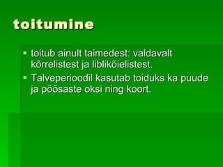toitumine toitub ainult taimedest: valdavalt kõrrelistest ja liblikõielistest.  Talveperioodil kasutab toiduks ka puude ja põõsaste oksi ning koort.  