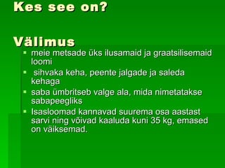 Kes see on? Välimus meie metsade üks ilusamaid ja graatsilisemaid loomi   sihvaka keha, peente jalgade ja saleda kehaga   saba ümbritseb valge ala, mida nimetatakse sabapeegliks   Isasloomad kannavad suurema osa aastast sarvi ning võivad kaaluda kuni 35 kg, emased on väiksemad.  