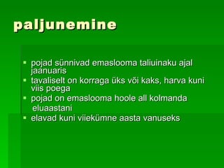 paljunemine p ojad sünnivad emaslooma taliuinaku ajal jaanuaris   t avaliselt on korraga üks või kaks, harva kuni viis poega   p ojad on emaslooma hoole all kolmanda  eluaastani   elavad kuni viiekümne aasta vanuseks 