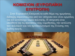 Στην Ευρωπαϊκή Επιτροπή το κάθε θέμα της ημερήσιας διάταξης παρουσιάζεται από τον επίτροπο που είναι αρμόδιος για τον αντίστοιχο τομέα πολιτικής. Η επιτροπή είναι υπεύθυνη για τις προτάσεις νέας νομοθεσίας, την εκτέλεση των πολιτικών και του προϋπολογισμού της Ένωσης στη διεθνή σκηνή.  