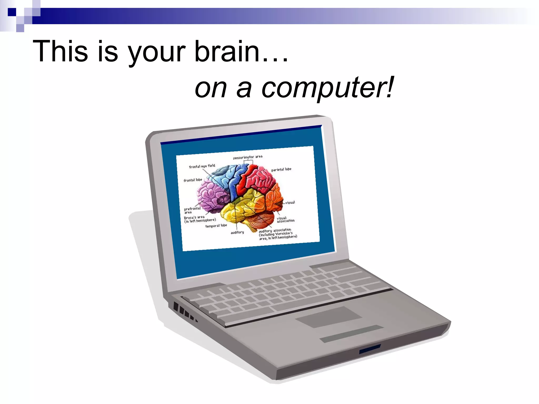 This is your brain… on a computer!