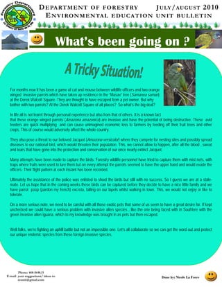 D E PA RT M E N T O F F O R E S T RY        J U LY / AU G U S T 2 0 1 0
                        E N V I RO N M E N TA L E D U C A T I O N U N I T BU L L E T I N


                                     What’s been going on ?


  For months now it has been a game of cat and mouse between wildlife officers and two orange
  winged invasive parrots which have taken up residence in the “Masav” tree (Samanea saman)
  at the Derek Walcott Square. They are thought to have escaped from a pet owner. But why
  bother with two parrots? At the Derek Walcott Square of all places? So what’s the big deal?

  In life all is not learnt through personal experience but also from that of others. It is a known fact
  that these orange winged parrots (Amazona amazonica) are invasive and have the potential of being destructive. These avid
  feeders are quick multiplying and can cause unimagined economic loss to farmers by feeding off their fruit trees and other
  crops. This of course would adversely affect the whole country.

  They also pose a threat to our beloved Jacquot (Amazona versicolor) where they compete for nesting sites and possibly spread
  diseases to our national bird, which would threaten their population. This, we cannot allow to happen, after all the blood , sweat
  and tears that have gone into the protection and conservation of our once nearly extinct Jacquot.

  Many attempts have been made to capture the birds. Forestry wildlife personnel have tried to capture them with mist nets, with
  traps where fruits were used to lure them but on every attempt the parrots seemed to have the upper hand and would evade the
  officers. Their flight pattern at each instant has been recorded.

  Ultimately the assistance of the police was enlisted to shoot the birds but still with no success. So I guess we are at a stale-
  mate. Let us hope that in the coming weeks these birds can be captured before they decide to have a nice little family and we
  have parrot poop (pardon my french) excreta, falling on our lapels whilst walking in town. This, we would not enjoy or like to
  tolerate.

  On a more serious note, we need to be careful with all those exotic pets that some of us seem to have a great desire for. If kept
  unchecked we could have a serious problem with invasive alien species , like the one being faced with in Soufriere with the
  green invasive alien iguana, which to my knowledge was brought in as pets but then escaped.


  Well folks, we’re fighting an uphill battle but not an impossible one. Let’s all collaborate so we can get the word out and protect
  our unique endemic species from these foreign invasive species.




       Phone: 468-5648/5
E-mail your suggestions/ ideas to:                                                                  Done by: Nicole La Force
       eeunit@gmail.com
 
