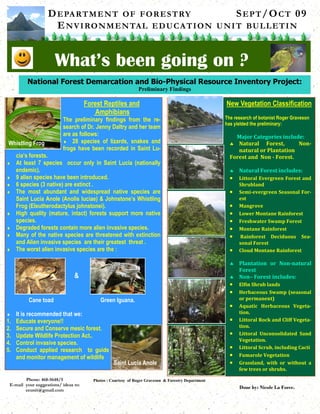 DEPARTMENT OF FORESTRY SEPT/OCT 09
ENVIRONMENTAL EDUCATION UNIT BULLETIN
What’s been going on ?
Phone: 468-5648/5
E-mail your suggestions/ ideas to:
eeunit@gmail.com
Done by: Nicole La Force.
National Forest Demarcation and Bio-Physical Resource Inventory Project:
Preliminary Findings
Forest Reptiles and
Amphibians
The preliminary findings from the re-
search of Dr. Jenny Daltry and her team
are as follows:
♦ 28 species of lizards, snakes and
frogs have been recorded in Saint Lu-
cia’s forests.
♦ At least 7 species occur only in Saint Lucia (nationally
endemic).
♦ 9 alien species have been introduced.
♦ 6 species (3 native) are extinct .
♦ The most abundant and widespread native species are
Saint Lucia Anole (Anolis luciae) & Johnstone’s Whistling
Frog (Eleutherodactylus johnstonei).
♦ High quality (mature, intact) forests support more native
species.
♦ Degraded forests contain more alien invasive species.
♦ Many of the native species are threatened with extinction
and Alien invasive species are their greatest threat .
♦ The worst alien invasive species are the :
♦ It is recommended that we:
1. Educate everyone!!
2. Secure and Conserve mesic forest.
3. Update Wildlife Protection Act..
4. Control invasive species.
5. Conduct applied research to guide
and monitor management of wildlife
New Vegetation Classification
The research of botanist Roger Graveson
has yielded the preliminary:
Whistling Frog
Saint Lucia Anole
Cane toad Green Iguana.
&
Photos : Courtesy of Roger Graveson & Forestry Department
Major Categories include:
♣ Natural Forest, Non-
natural or Plantation
Forest and Non - Forest.
♣ Natural Forest includes:
• Littoral Evergreen Forest and
Shrubland
• Semi-evergreen Seasonal For-
est
• Mangrove
• Lower Montane Rainforest
• Freshwater Swamp Forest
• Montane Rainforest
• Rainforest Deciduous Sea-
sonal Forest
• Cloud Montane Rainforest
♣ Plantation or Non-natural
Forest
♣ Non– Forest includes:
• Elfin Shrub lands
• Herbaceous Swamp (seasonal
or permanent)
• Aquatic Herbaceous Vegeta-
tion.
• Littoral Rock and Cliff Vegeta-
tion.
• Littoral Unconsolidated Sand
Vegetation.
• Littoral Scrub, including Cacti
• Fumarole Vegetation
• Grassland, with or without a
few trees or shrubs.
 