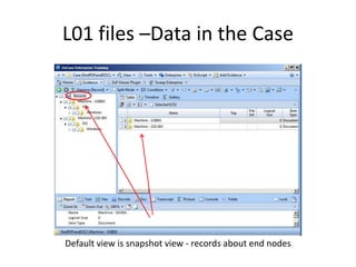 L01 files –Data in the Case

Default view is snapshot view - records about end nodes

 
